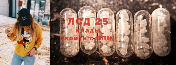 крисы Алзамай